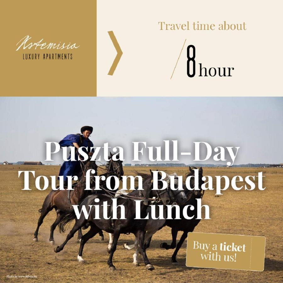 بودابست Artemisia Luxury Apartments Skyflat المظهر الخارجي الصورة